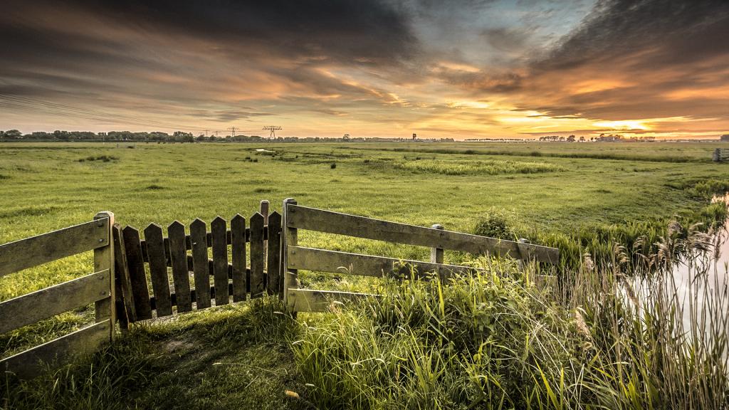 wij zoeken enthousiaste artsen in Groningen